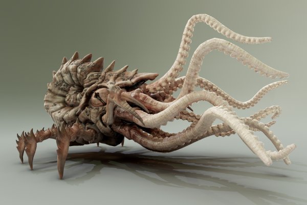Krakin13 at