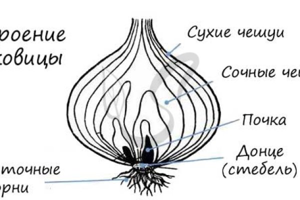 Кракен новое зеркало