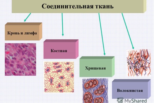 Кракен клирнет ссылка