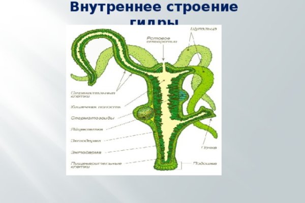 Kraken вход и ссылки