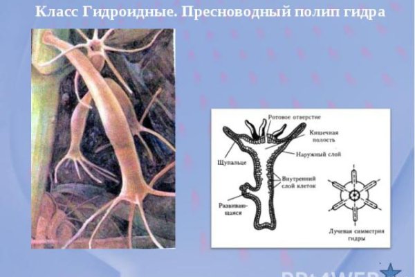 Как зайти на кракен браузеры