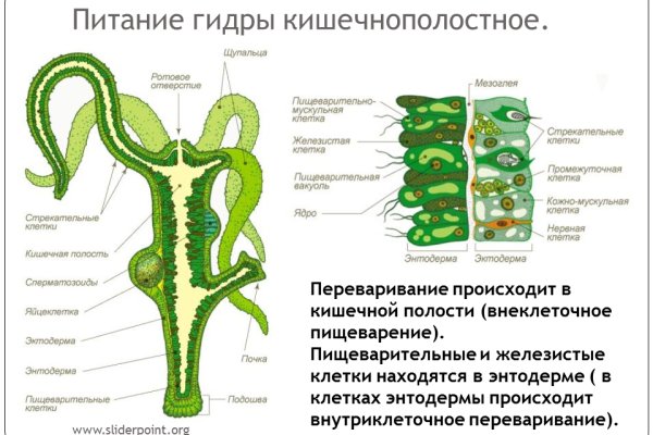 Ссылка на кракен на сегодня