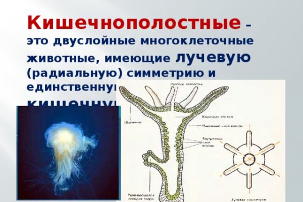 Кракен это современный даркнет маркетплейс